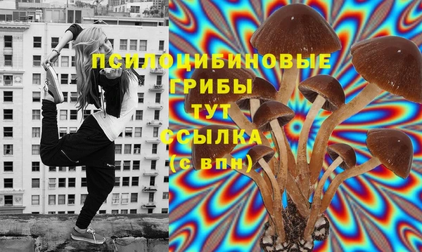 СК Наволоки