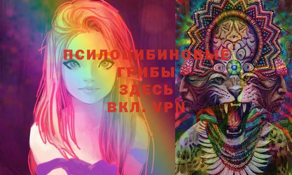 бутират Надым